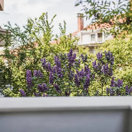 2br 15 Bth Spacious Kitchen Metro Apartment *